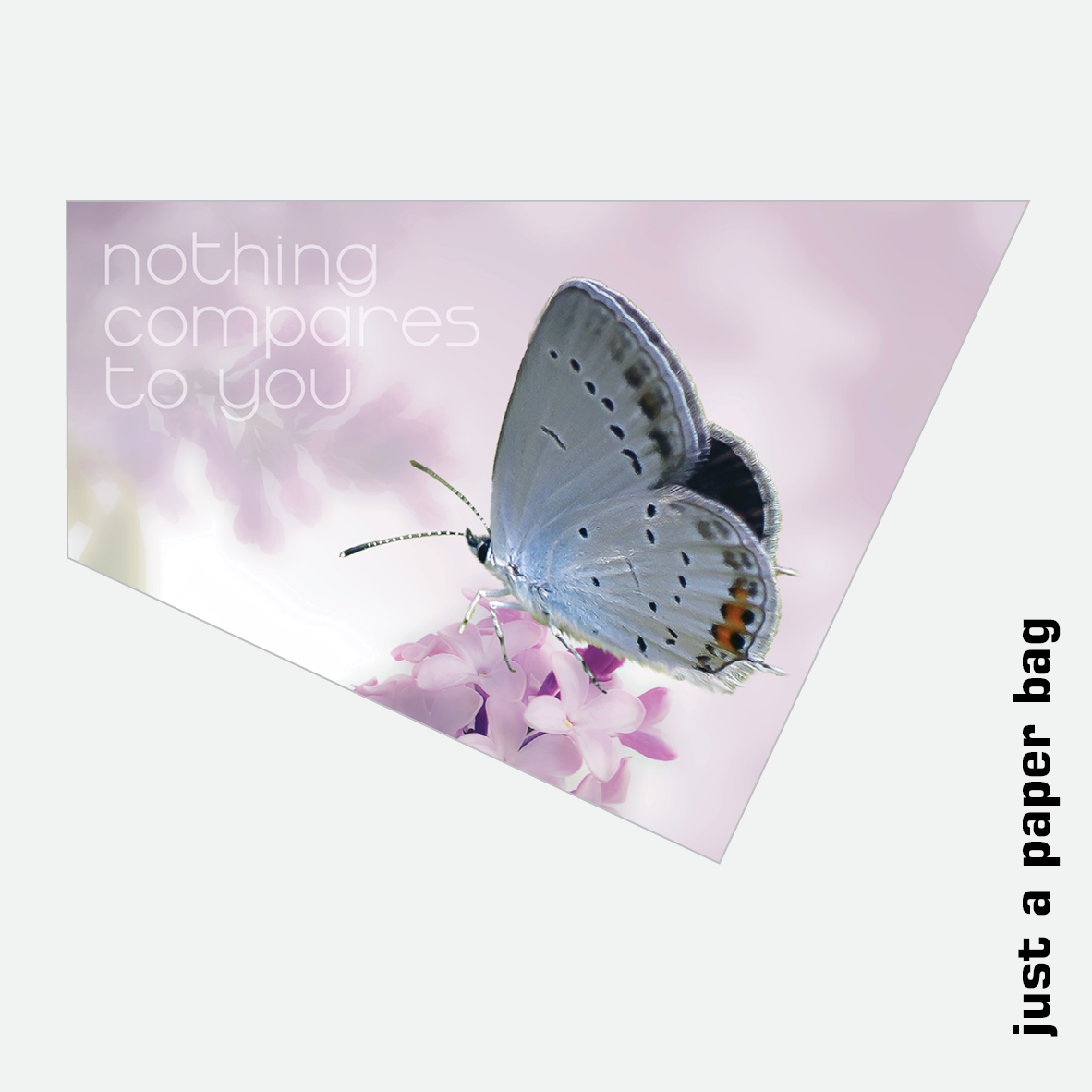 paper bag | nothing compares