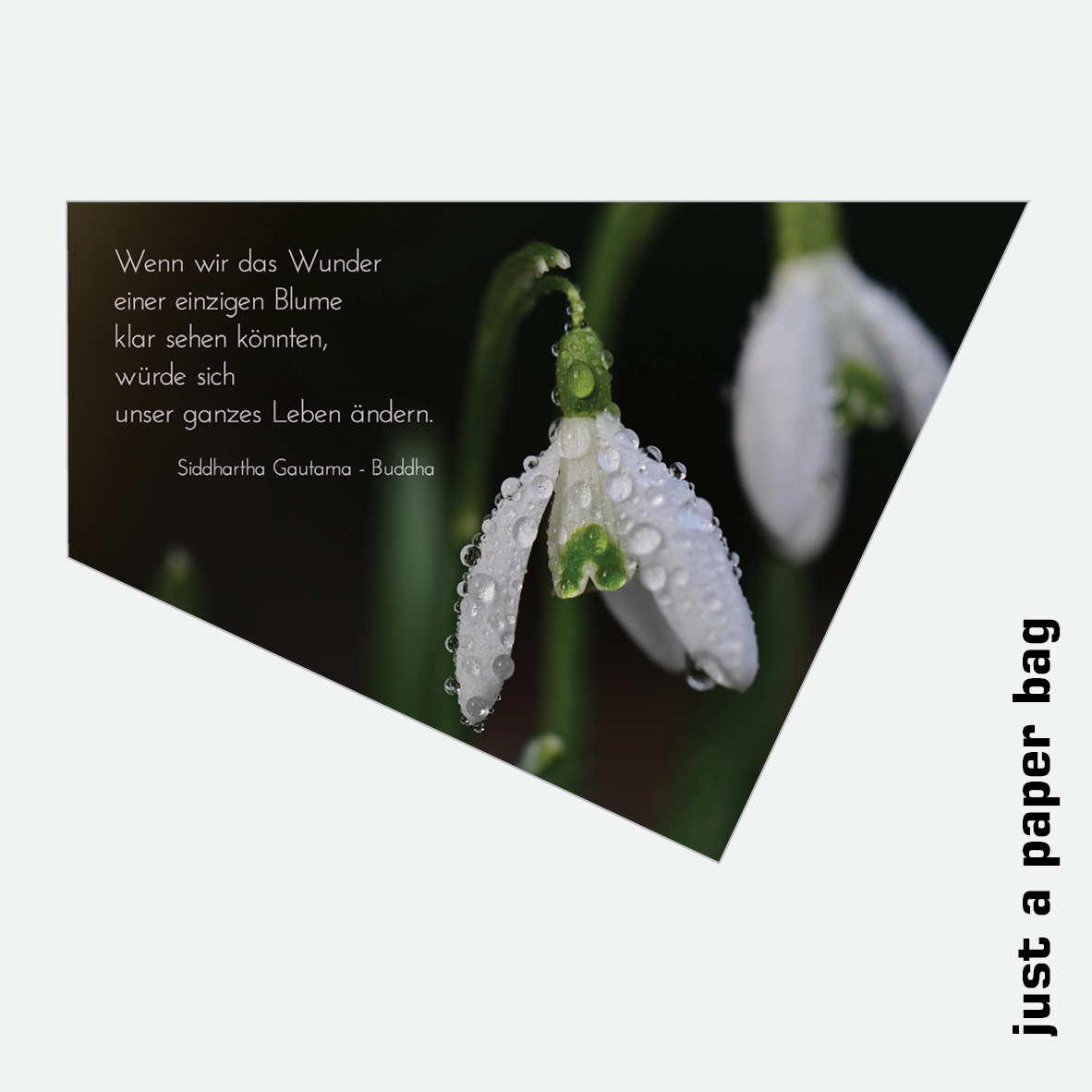 paper bag | snowdrop