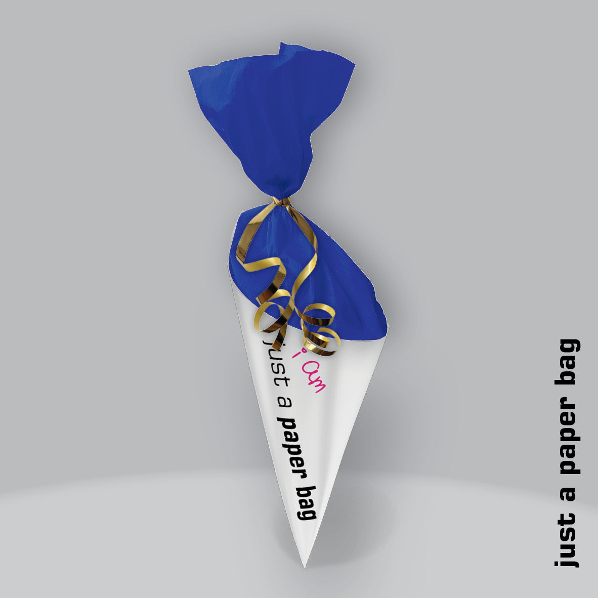 just a paper bag | the secret