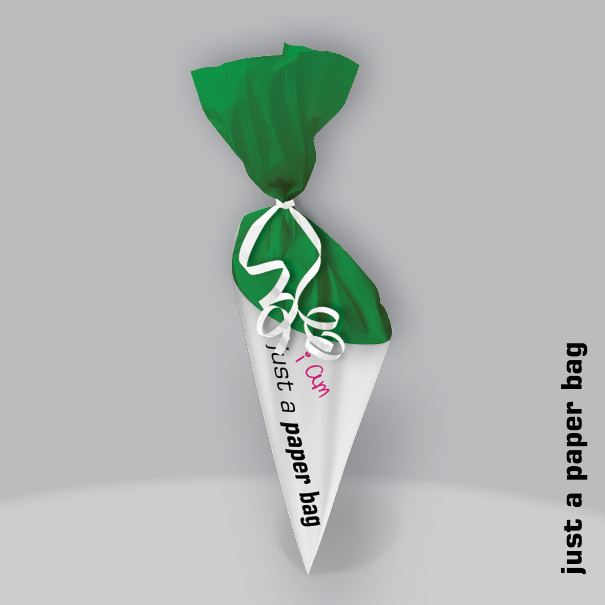 just a paper bag | the secret