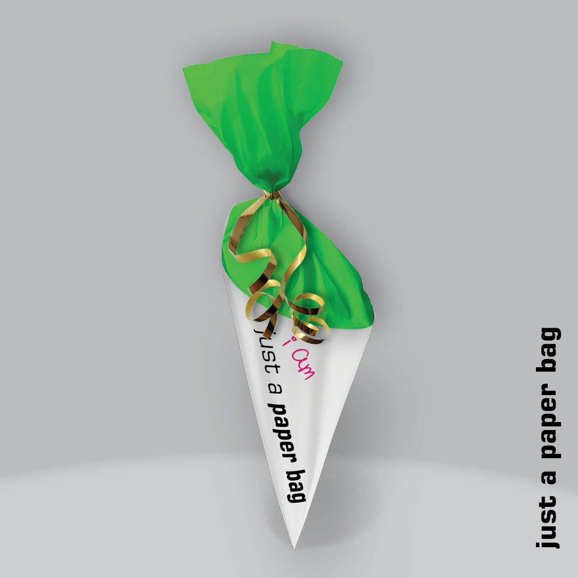 just a paper bag | the secret