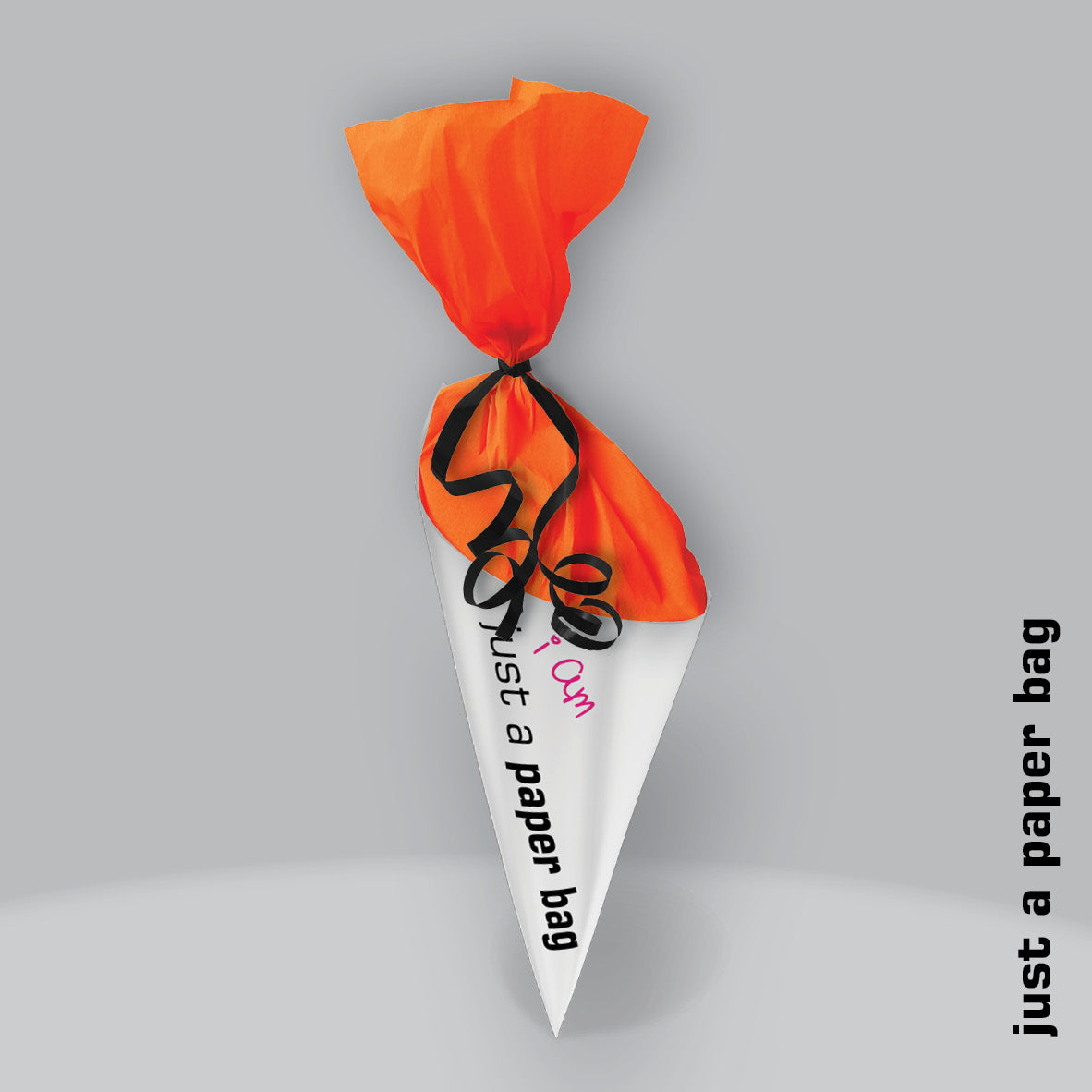 just a paper bag | the secret
