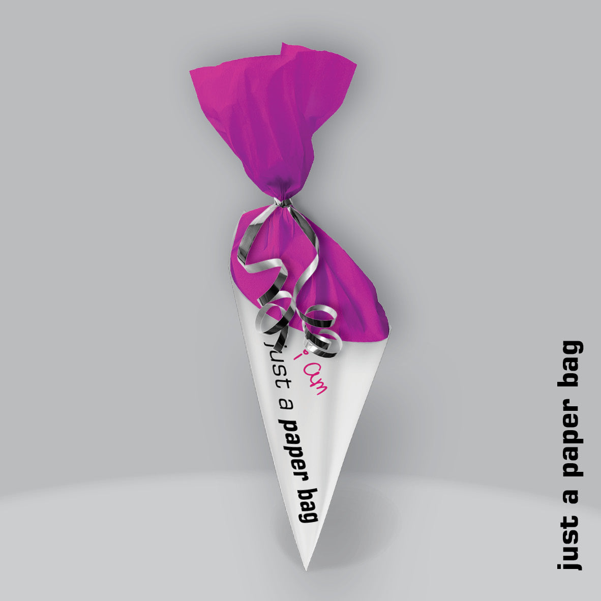 just a paper bag | the secret