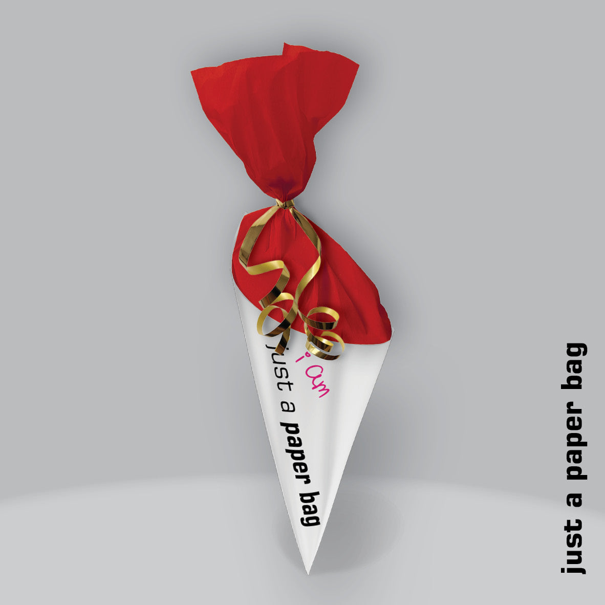 just a paper bag | the secret
