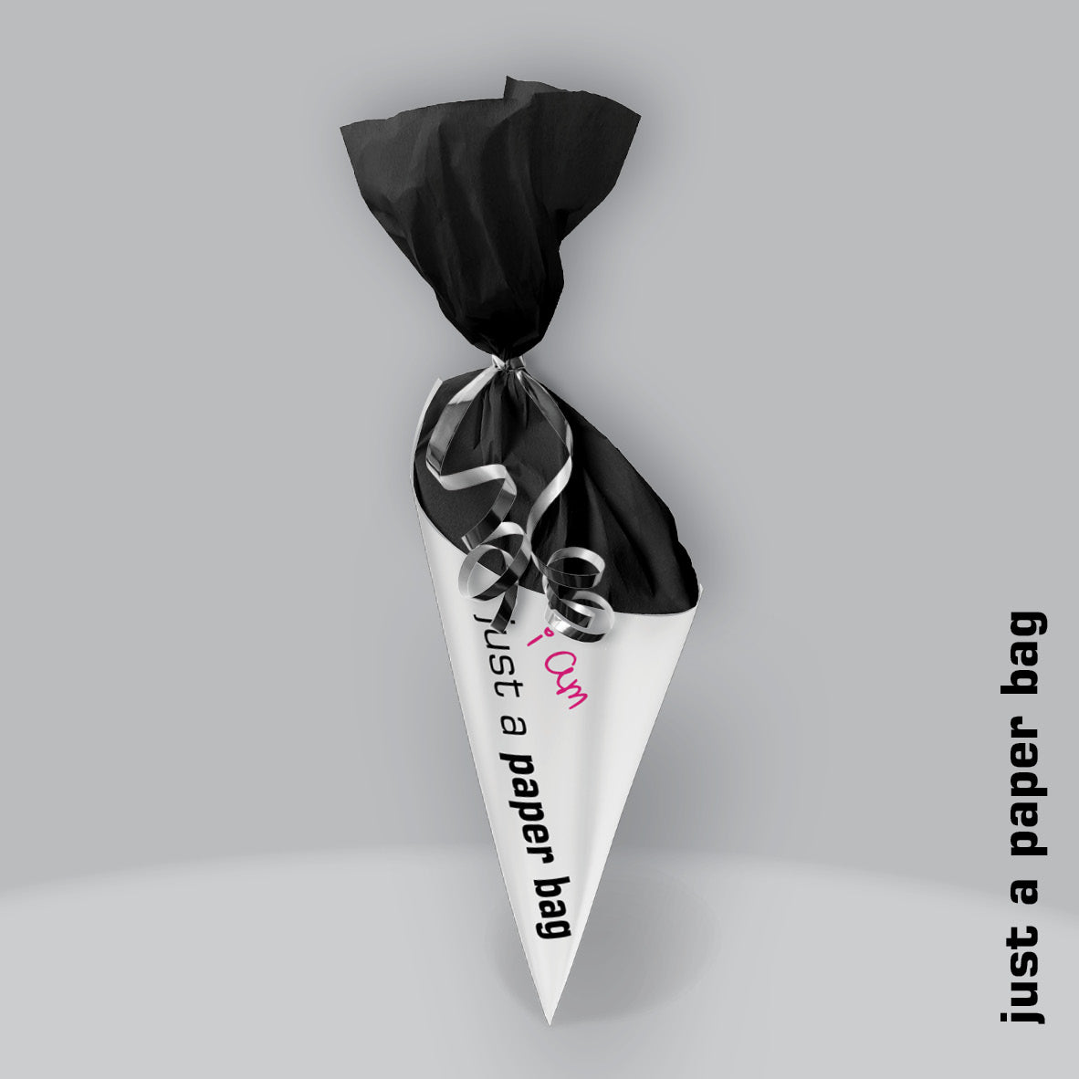 just a paper bag | the secret