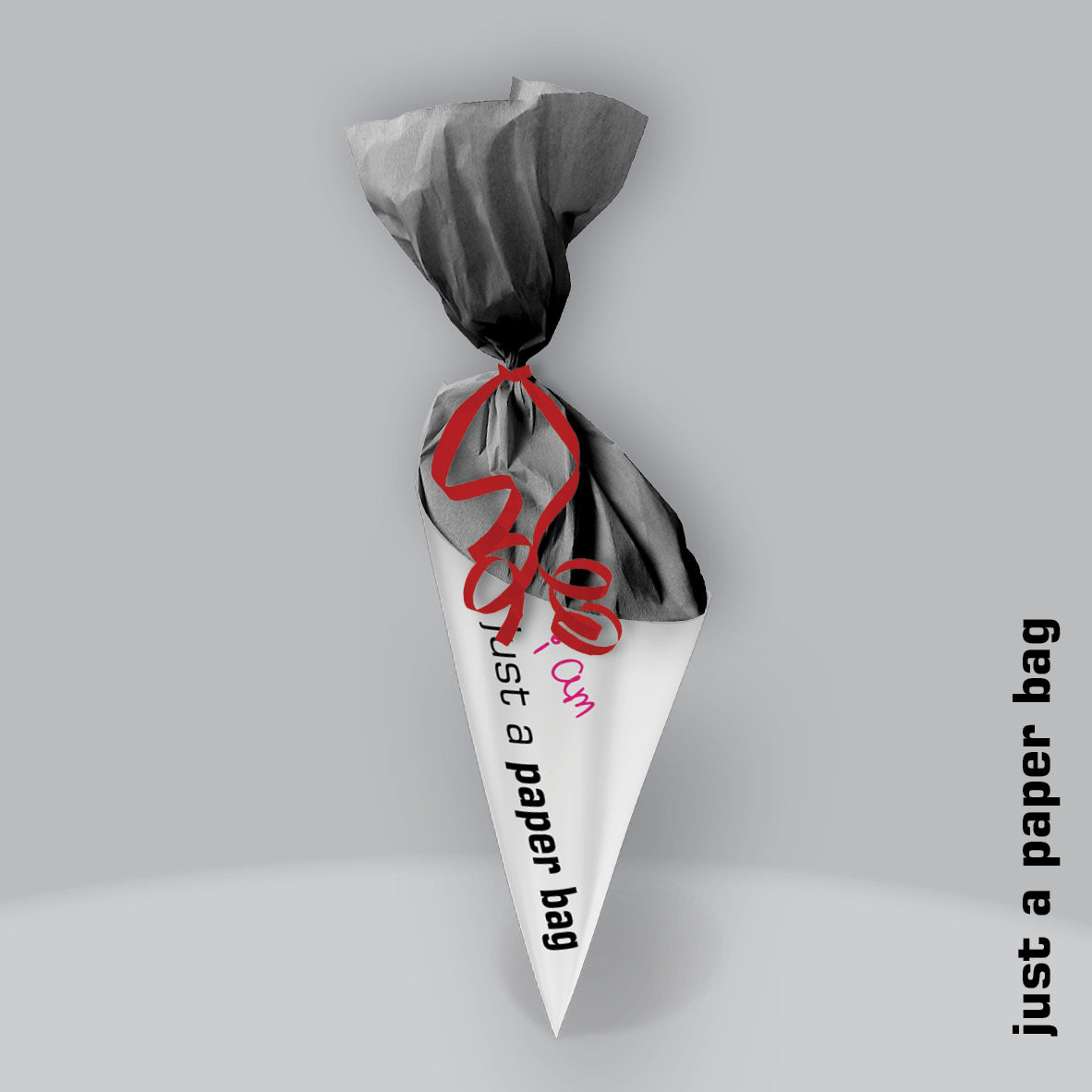 just a paper bag | the secret