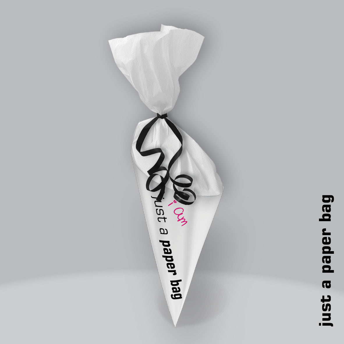 just a paper bag | the secret
