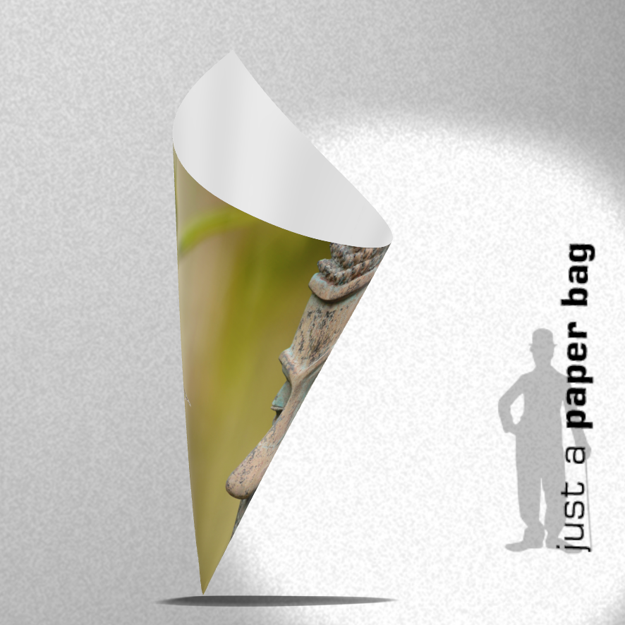 paper bag | meditation two