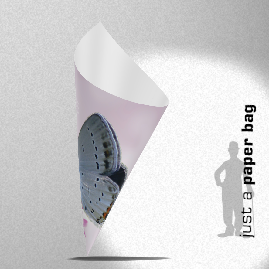 paper bag | nothing compares