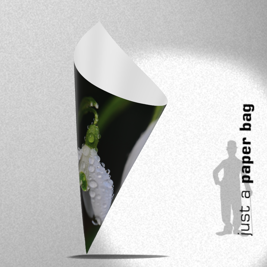 paper bag | snowdrop